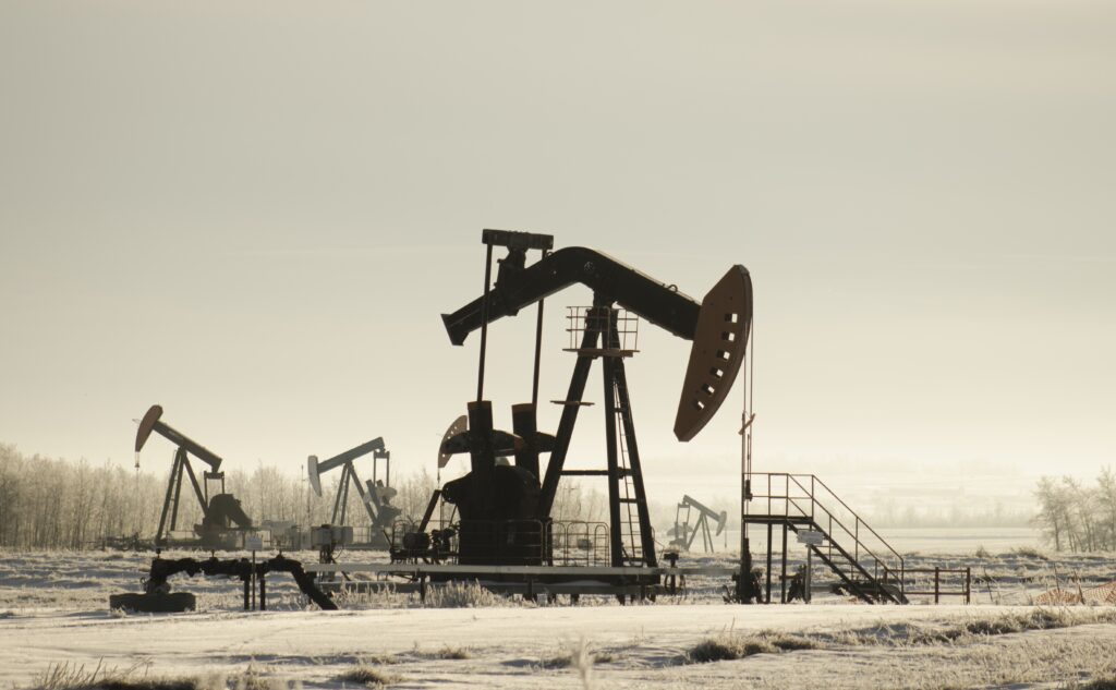 A field with oil pump jacks surrounded by greenery under sunlight